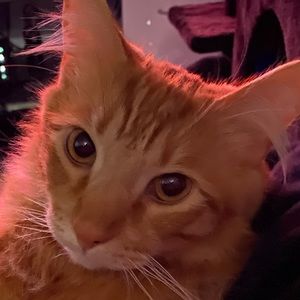 Meet your Posher, Danny